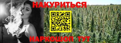 a pvp Кингисепп