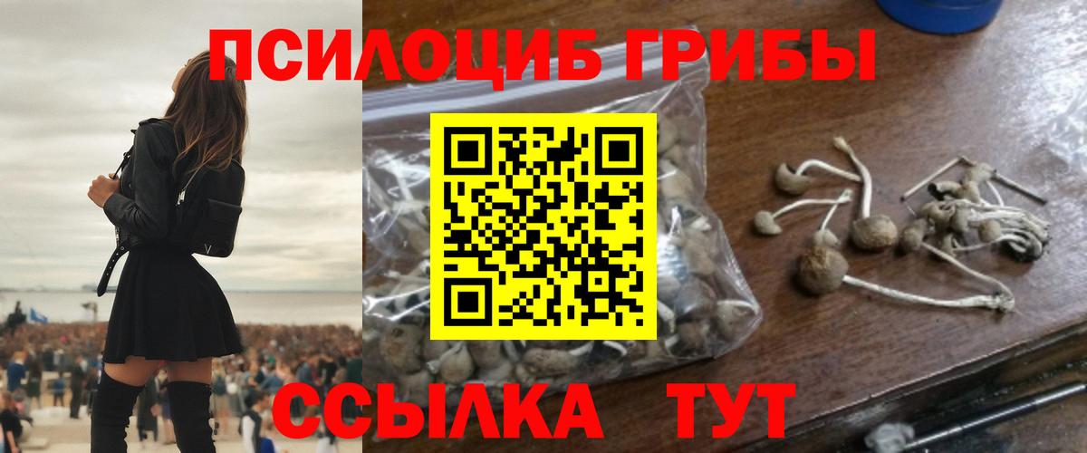 Псилоцибиновые грибы ЛСД  Вход с VPN  Углич 